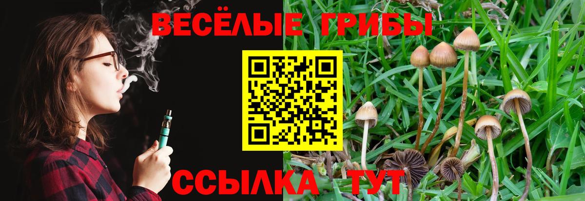 Орёл  Псилоцибиновые грибы MAGIC MUSHROOMS  Вход с VPN  Галлюциногенные грибы GOLDEN TEACHER 